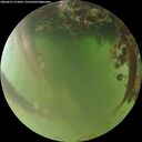 ./images/calvert/underwater/20260617/underwater20260617_213001M.jpg