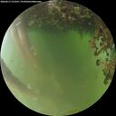 ./images/calvert/underwater/20260617/underwater20260617_213501M.jpg