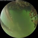 ./images/calvert/underwater/20260617/underwater20260617_214001M.jpg