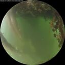 ./images/calvert/underwater/20260617/underwater20260617_214502M.jpg