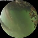 ./images/calvert/underwater/20260617/underwater20260617_215001M.jpg