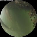 ./images/calvert/underwater/20260617/underwater20260617_220002M.jpg