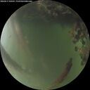 ./images/calvert/underwater/20260617/underwater20260617_220501M.jpg