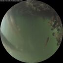./images/calvert/underwater/20260617/underwater20260617_221001M.jpg