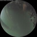 ./images/calvert/underwater/20260617/underwater20260617_222001M.jpg