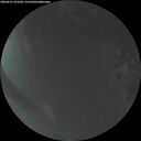 ./images/calvert/underwater/20260617/underwater20260617_223501M.jpg