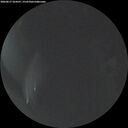 ./images/calvert/underwater/20260617/underwater20260617_224501M.jpg