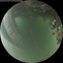 ./images/calvert/underwater/20260618/underwater20260618_051002M.jpg