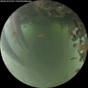 ./images/calvert/underwater/20260618/underwater20260618_051501M.jpg
