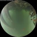 ./images/calvert/underwater/20260618/underwater20260618_052001M.jpg