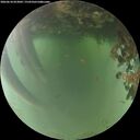 ./images/calvert/underwater/20260618/underwater20260618_053001M.jpg