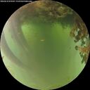 ./images/calvert/underwater/20260618/underwater20260618_054501M.jpg