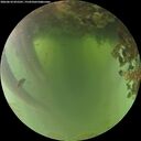 ./images/calvert/underwater/20260618/underwater20260618_055501M.jpg