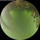 ./images/calvert/underwater/20260618/underwater20260618_060001M.jpg