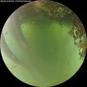 ./images/calvert/underwater/20260618/underwater20260618_060501M.jpg