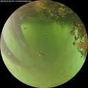 ./images/calvert/underwater/20260618/underwater20260618_061501M.jpg