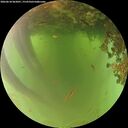 ./images/calvert/underwater/20260618/underwater20260618_062001M.jpg