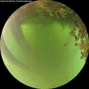 ./images/calvert/underwater/20260618/underwater20260618_062502M.jpg