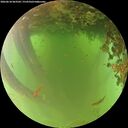 ./images/calvert/underwater/20260618/underwater20260618_063501M.jpg