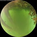./images/calvert/underwater/20260618/underwater20260618_064002M.jpg