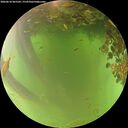 ./images/calvert/underwater/20260618/underwater20260618_065502M.jpg