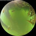 ./images/calvert/underwater/20260618/underwater20260618_074501M.jpg