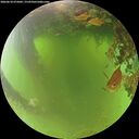 ./images/calvert/underwater/20260618/underwater20260618_075002M.jpg
