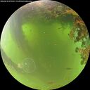 ./images/calvert/underwater/20260618/underwater20260618_075501M.jpg