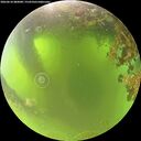 ./images/calvert/underwater/20260618/underwater20260618_080001M.jpg