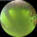./images/calvert/underwater/20260618/underwater20260618_080501M.jpg