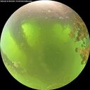 ./images/calvert/underwater/20260618/underwater20260618_081001M.jpg