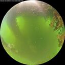 ./images/calvert/underwater/20260618/underwater20260618_082002M.jpg