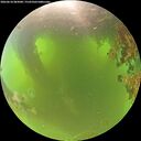./images/calvert/underwater/20260618/underwater20260618_083001M.jpg