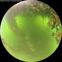 ./images/calvert/underwater/20260618/underwater20260618_091501M.jpg
