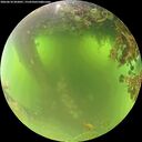 ./images/calvert/underwater/20260618/underwater20260618_092001M.jpg