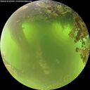 ./images/calvert/underwater/20260618/underwater20260618_092501M.jpg