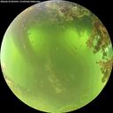 ./images/calvert/underwater/20260618/underwater20260618_093501M.jpg