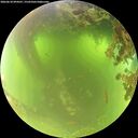 ./images/calvert/underwater/20260618/underwater20260618_094501M.jpg
