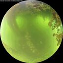 ./images/calvert/underwater/20260618/underwater20260618_100001M.jpg