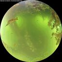 ./images/calvert/underwater/20260618/underwater20260618_100501M.jpg