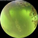 ./images/calvert/underwater/20260618/underwater20260618_101001M.jpg
