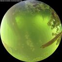 ./images/calvert/underwater/20260618/underwater20260618_103001M.jpg