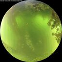 ./images/calvert/underwater/20260618/underwater20260618_104001M.jpg