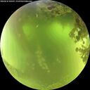 ./images/calvert/underwater/20260618/underwater20260618_104501M.jpg