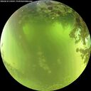 ./images/calvert/underwater/20260618/underwater20260618_110501M.jpg