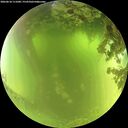 ./images/calvert/underwater/20260618/underwater20260618_111001M.jpg