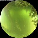 ./images/calvert/underwater/20260618/underwater20260618_111501M.jpg