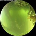 ./images/calvert/underwater/20260618/underwater20260618_112001M.jpg