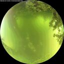 ./images/calvert/underwater/20260618/underwater20260618_112501M.jpg