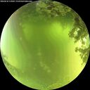 ./images/calvert/underwater/20260618/underwater20260618_113001M.jpg